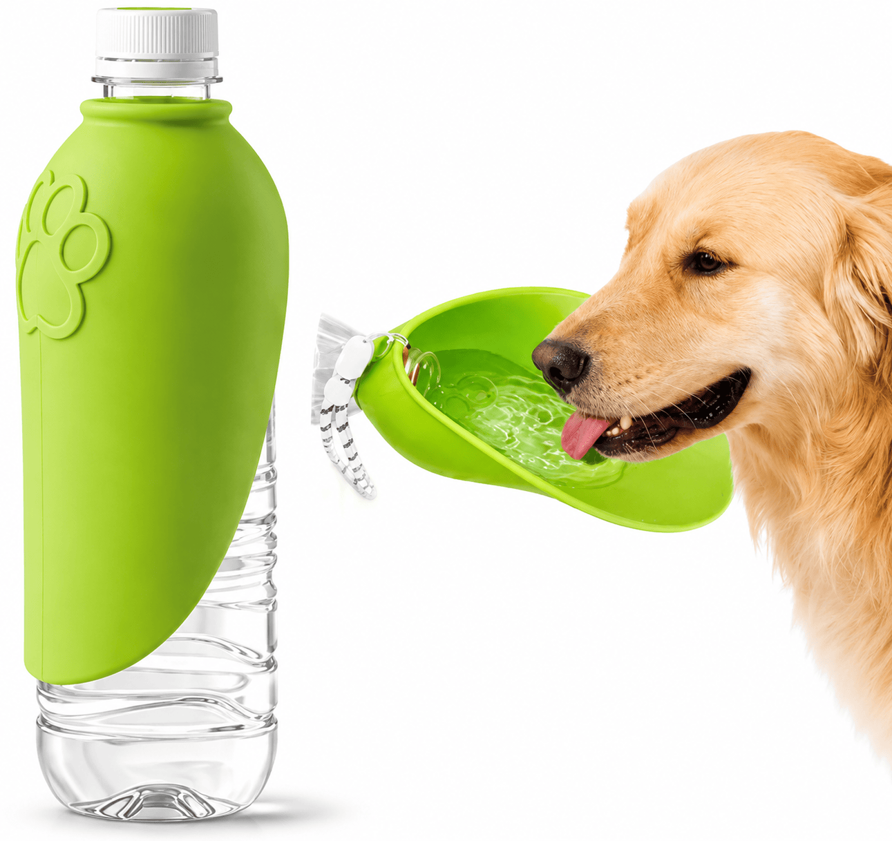 Portable Dog Water Bottle – Hydration Anywhere – Fursera