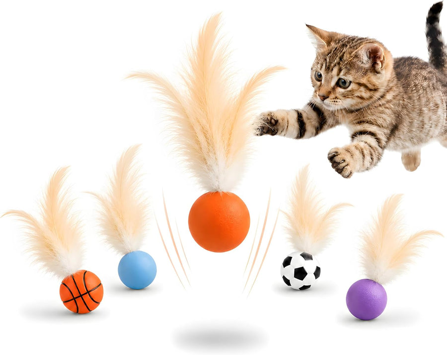 6 Pack Bouncy Cat Feather Ball Toys for indoor cats