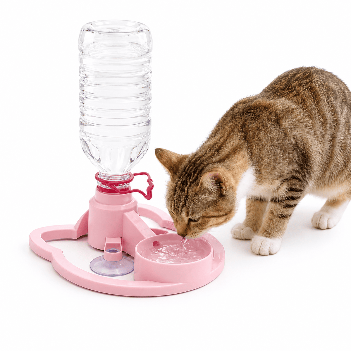 Fursera gravity water dispenser as one option within a multi-station cat drinking setup