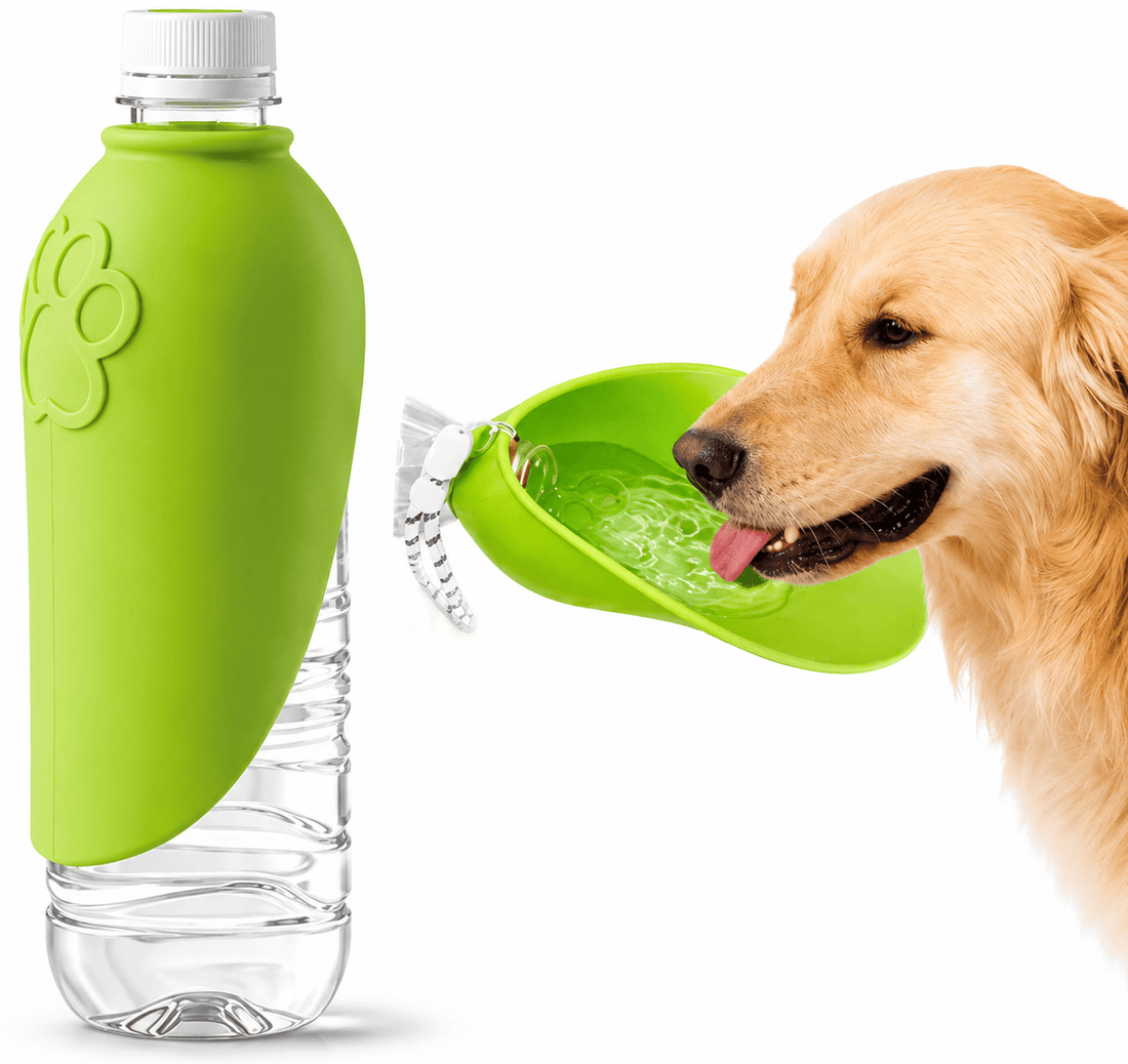Disassembled portable dog water bottle with bowl reservoir valve and seals ready for cleaning