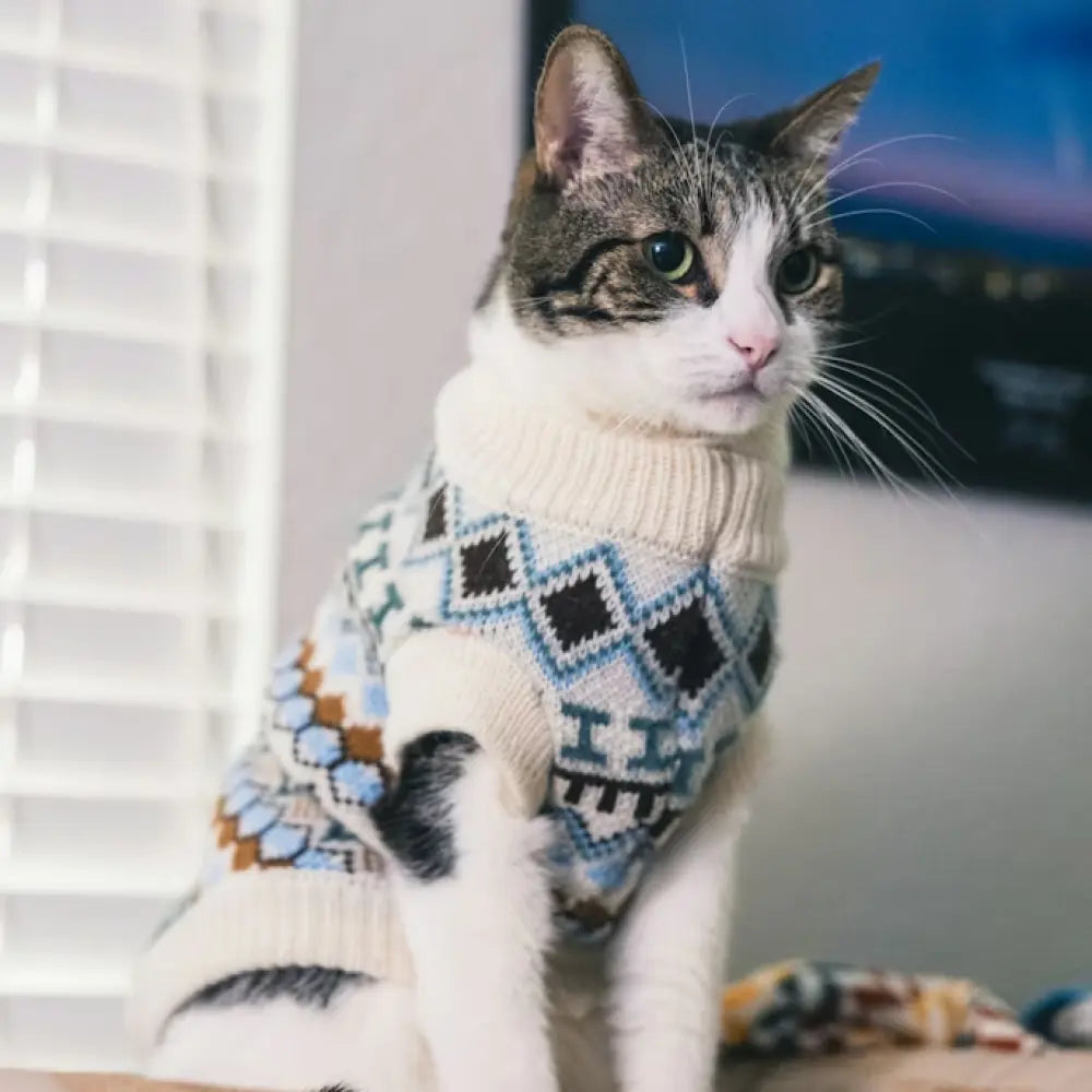 Apparel Fursera