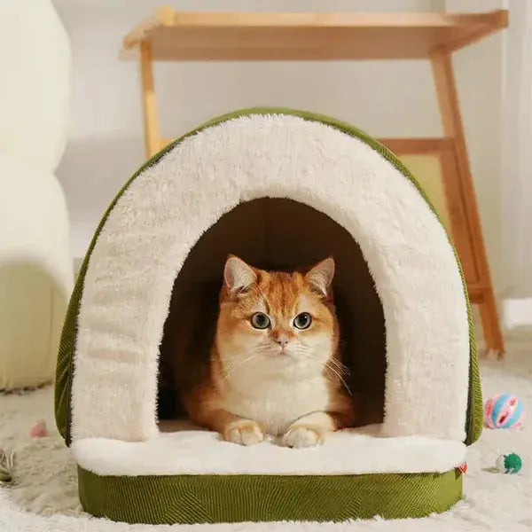 🐱 Cat Fursera