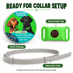 Green Collar-Mounted Pet Tag with Flexible Dual-Slot Holder & Adjustable Collar Fursera