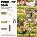 Spring-Mounted Chicken Pecking Toy & Treat Dispenser – Clear Refillable Feeder Fursera