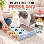 Interactive Pop-Up Mouse Cat Toy & Scratcher Fursera