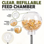 Spring-Mounted Chicken Pecking Toy & Treat Dispenser – Clear Refillable Feeder Fursera