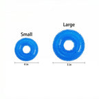 2 Pack Dog Toys – Bite-Resistant Squeaky Chew Balls