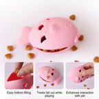 Dog Treat Toy – Fish Shape Silicone Slow Feeder for Dogs