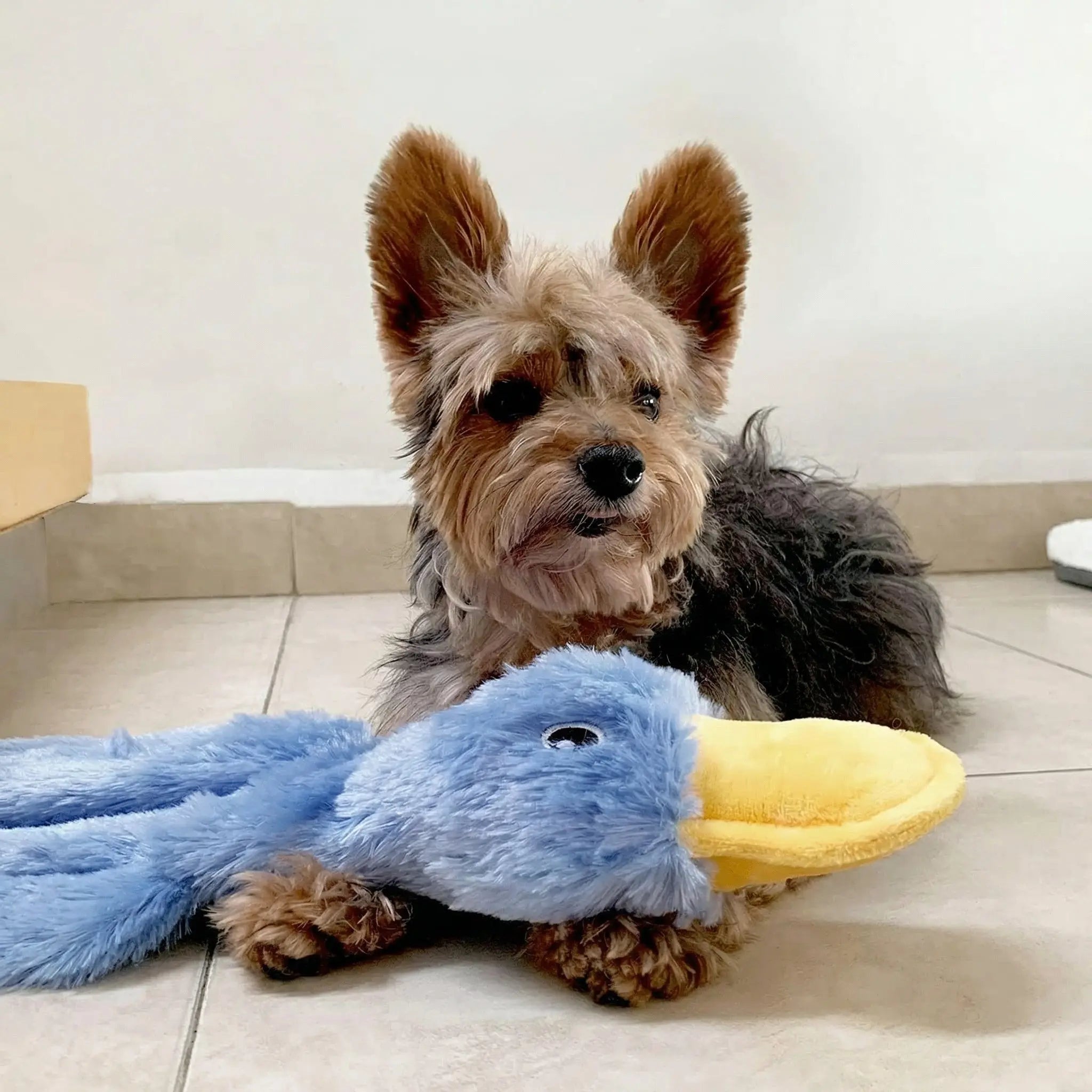Interactive Squeaky Dog Toy – Durable Chew Toy for All Dogs