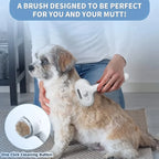 2 in 1 Pet Spray Hair Removal Comb