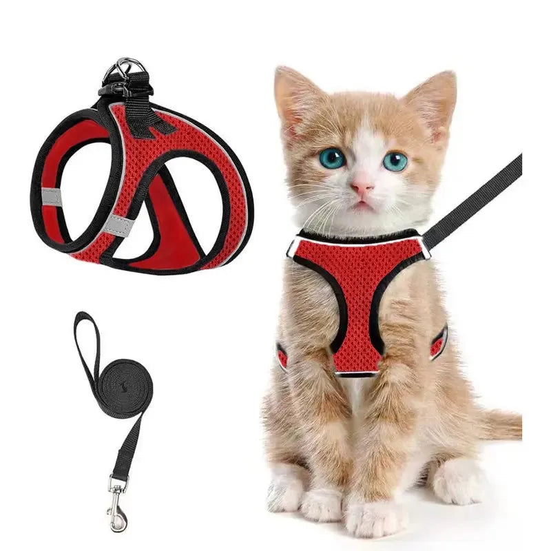 Breathable Adjustable Pet Harness & Leash Set