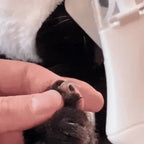 2-in-1 Pet Nail Trimmer & Grinder with LED Light