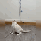 Hanging Cat Toy with Bell – Bouncy Spring & Fluffy Ball Fursera