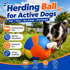 Dog Herding Ball with Handles & Pump