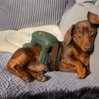 Calming Massager for Pets & People Fursera