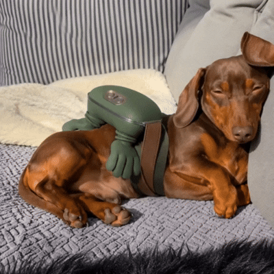 Calming Massager for Pets & People Fursera