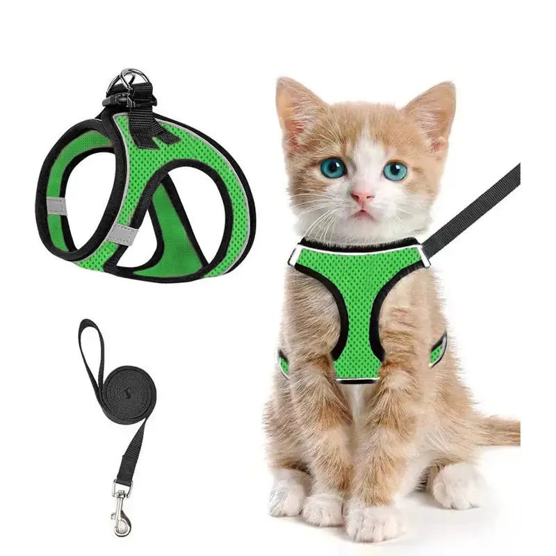 Breathable Adjustable Pet Harness & Leash Set