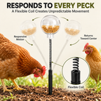Spring-Mounted Chicken Pecking Toy & Treat Dispenser – Clear Refillable Feeder Fursera