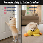 Calming Duck Toy