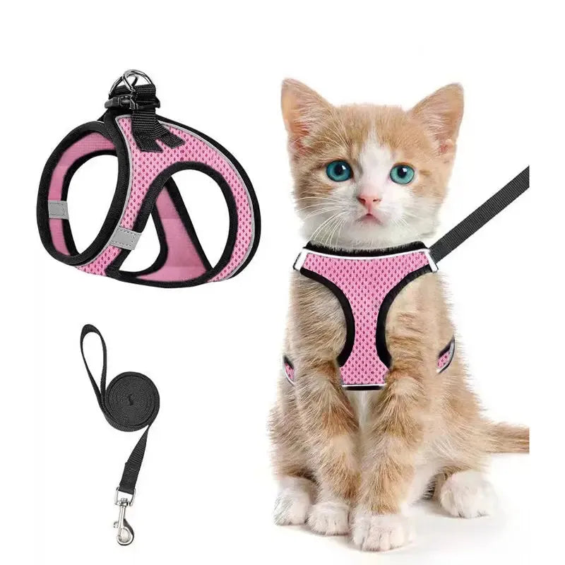 Breathable Adjustable Pet Harness & Leash Set