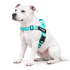 Personalized Dog Harness with Name Patch – Free Matching Color Leash Fursera