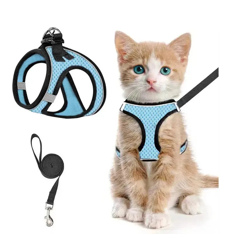 Breathable Adjustable Pet Harness & Leash Set