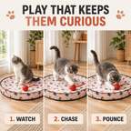 Interactive Cat Play Mat with Moving Ball & Tail – Hide & Seek Cat Toy Fursera