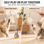 Bouncing Fish & Feather Cat Teaser Toy Fursera
