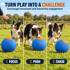 Dog Herding Ball – Large Push & Chase Activity Toy Fursera