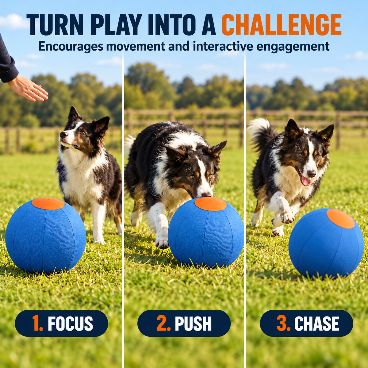 Dog Herding Ball – Large Push & Chase Activity Toy Fursera