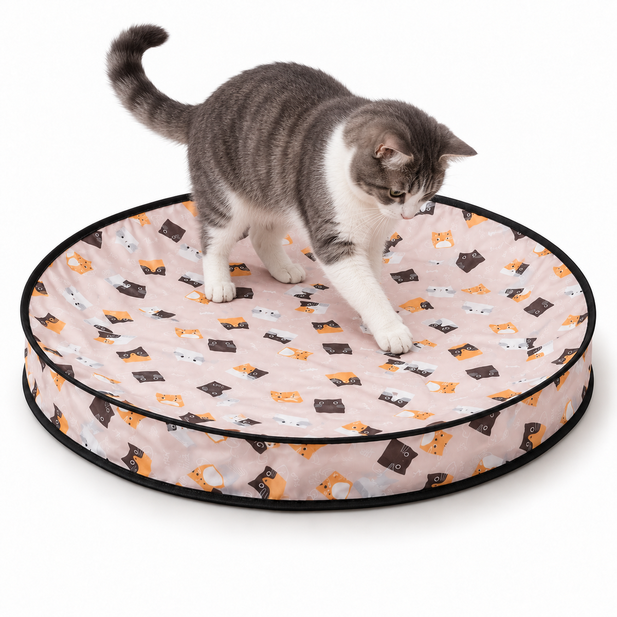 Interactive Cat Play Mat with Moving Ball & Tail – Hide & Seek Cat Toy Fursera