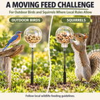 Spring-Mounted Chicken Pecking Toy & Treat Dispenser – Clear Refillable Feeder Fursera