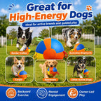 Dog Herding Ball with Handles & Pump