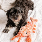 Interactive Lobster Pet Toy – Moving Wiggle Toy for Cats & Dogs Fursera