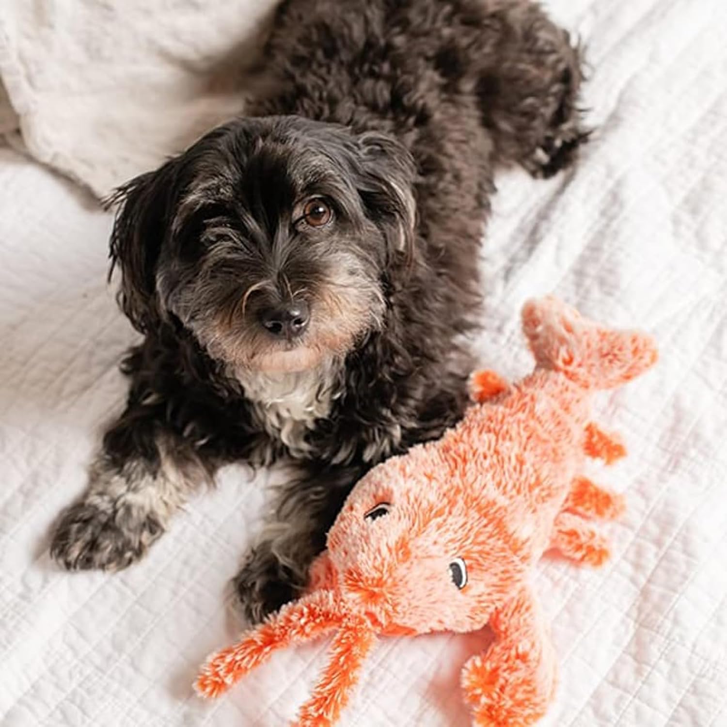 Interactive Lobster Pet Toy – Moving Wiggle Toy for Cats & Dogs Fursera