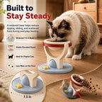 2-in-1 Wall Mounted & Elevated Cat Bowl Fursera