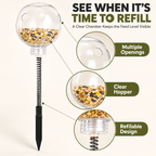 Spring-Mounted Chicken Pecking Toy & Treat Dispenser – Clear Refillable Feeder Fursera
