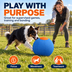 Dog Herding Ball – Large Push & Chase Activity Toy Fursera