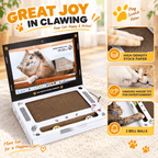 Laptop Cat Scratcher with Mouse Toy & 2 Bell Balls Fursera