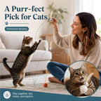 6 Pack Bouncy Cat Feather Ball Toys – Interactive Silicone Cat Balls for Indoor Cats Fursera