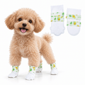 Disposable Dog Booties – Waterproof Paw Covers with Adjustable Straps, 20-Pack Fursera
