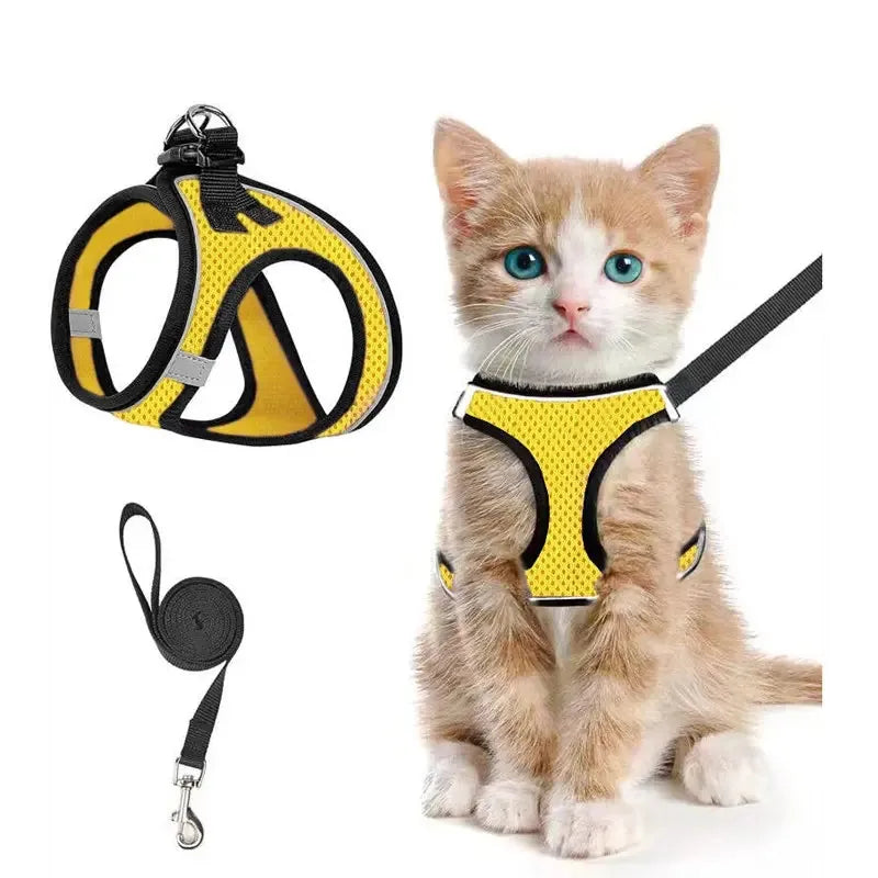 Breathable Adjustable Pet Harness & Leash Set