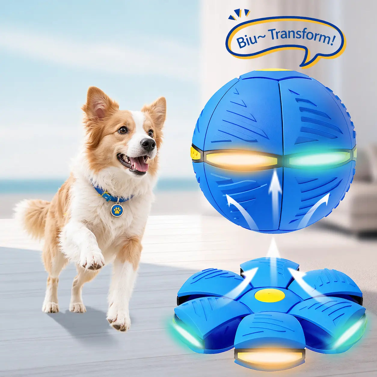 Interactive Frisbee Transforming Dog Toy Ball