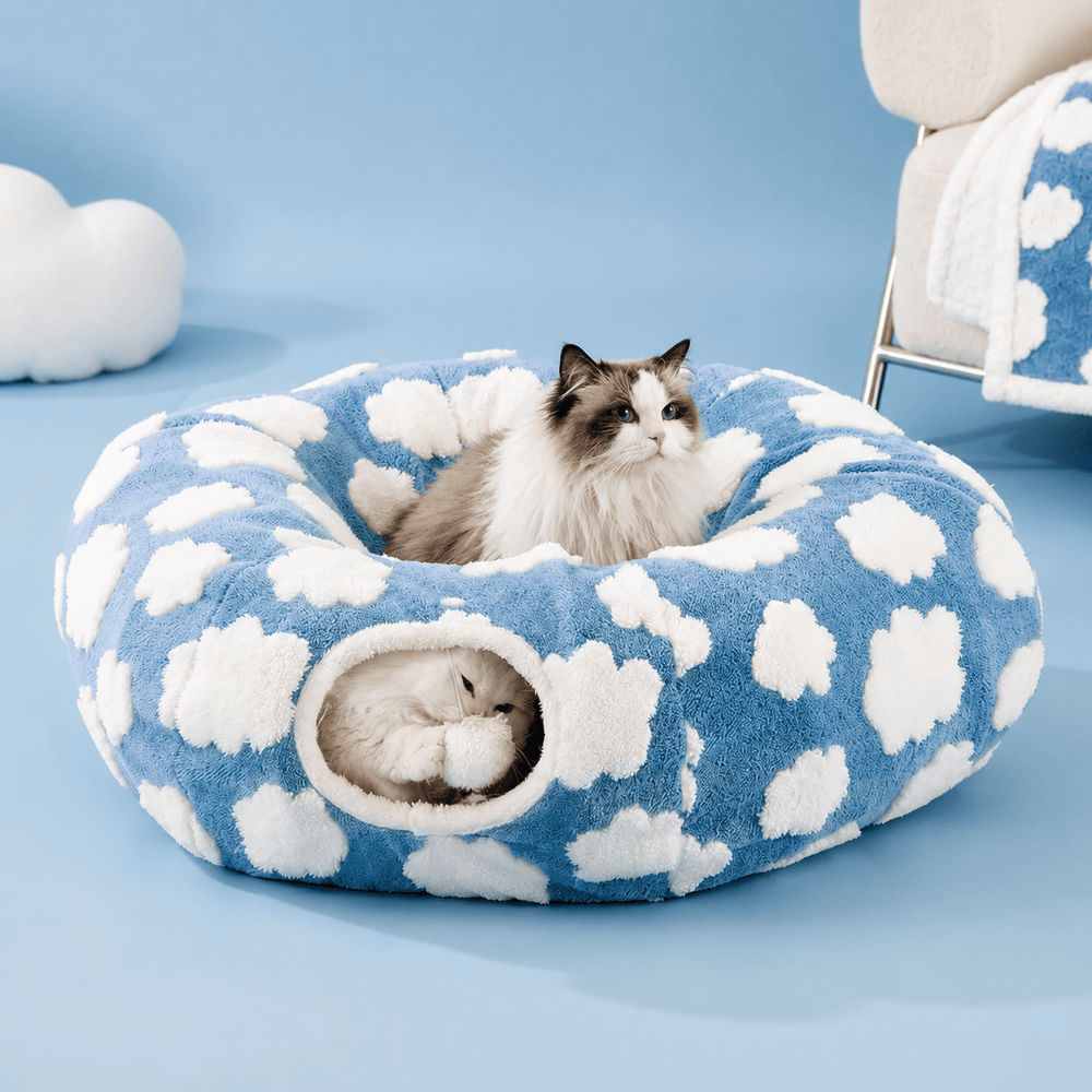 Cozy comfort