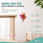 Hands-Free Collar Feather Cat Teaser