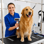 2-in-1 Pet Grooming Brush for Dogs & Cats