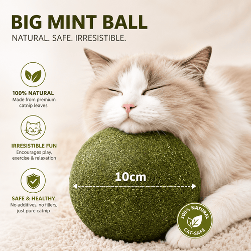 Giant Catnip Ball