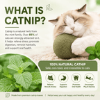 Giant Catnip Ball