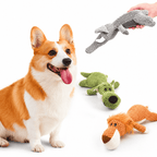 Interactive Dog Chew Toys with Squeakers