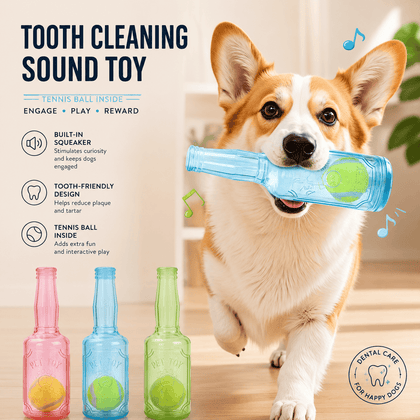 Brinquedo resistente para cães com garrafa e bola de ténis